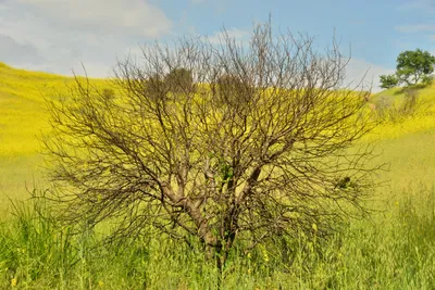 DSC_6404 (Large).JPG